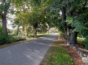 Fietsen in Denemarken