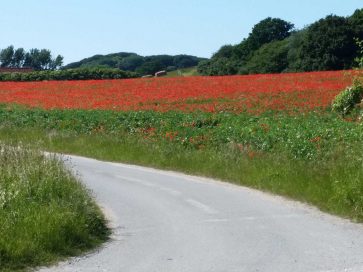 fietsen denemarken