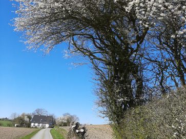 natuur denemarken