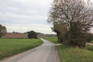 IMG_2393-(2)