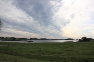 IMG_2394-(2)