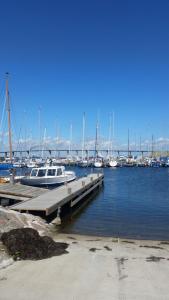 havens (1)
