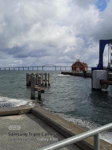 havens (3)