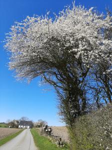 natuur denemarken
