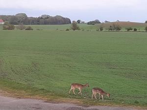 natuur