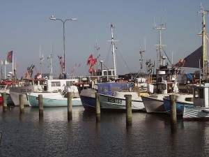Bagenkop (3)