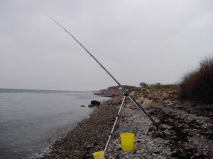 mooie stranden (15)