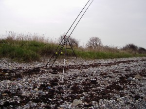mooie stranden (16)