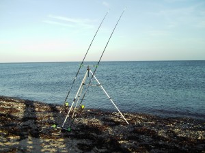 mooie stranden (5)